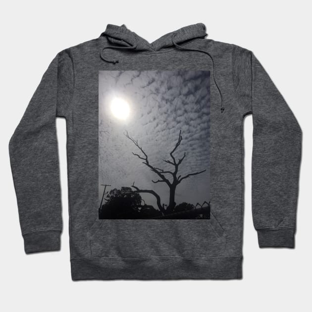 Tree Silhouette Hoodie by AlexB22